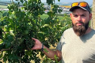 Kroupy na Břeclavsku poničily místy půlku úrody ve vinohradech - Novinky
